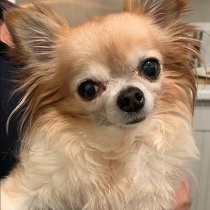 Meet your Posher, Deborah